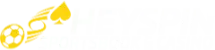 HeySpin logo